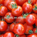 36/38% pasta de tomate para fratura a frio